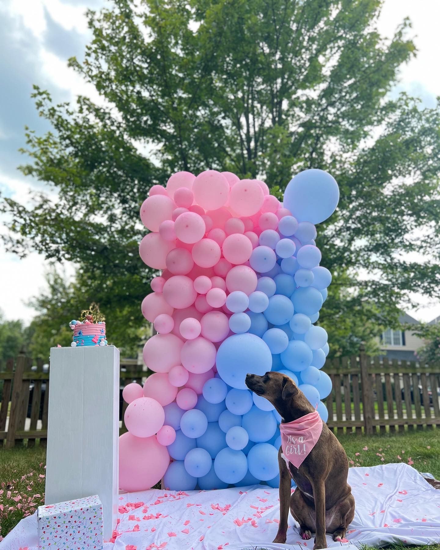 Outdoor gender reveal party decor styled by Pragya Saikia in South Riding, Virginia